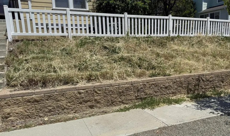 Antes: Talud del frente: maleza seca retirada, mulch nuevo y plantas nuevas.